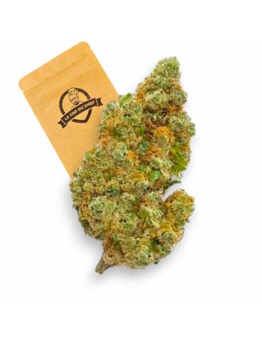 Fleurs CBD Jessydro Indoor Hydro de la marque Le CBD du Chef