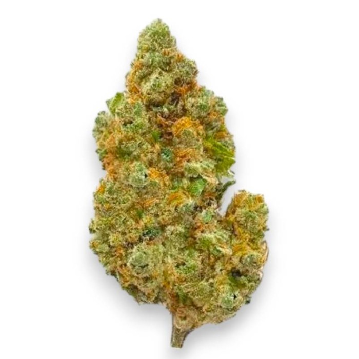 Fleurs CBD Jessydro Indoor Hydro de la marque Le CBD du Chef