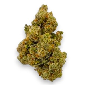 Fleurs CBD Gale Hydro Indoor de la marque Le CBD du Chef