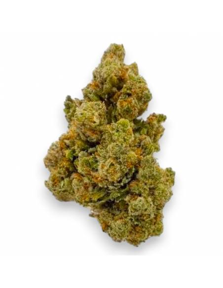 Fleurs CBD Gale Hydro Indoor de la marque Le CBD du Chef