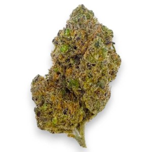 Fleurs CBD Gustav Hydro Indoor de la marque Le CBD du Chef