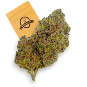 Fleurs CBD Gustav Hydro Indoor de la marque Le CBD du Chef