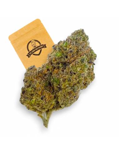 Fleurs CBD Gustav Hydro Indoor de la marque Le CBD du Chef