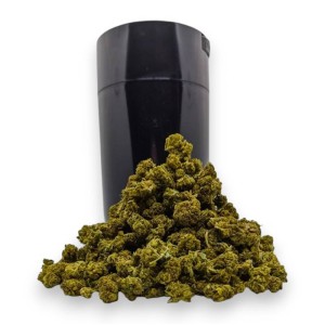 Pack 50g ThightVac Fleurs CBD Todd's Bud, Le CBD du Chef