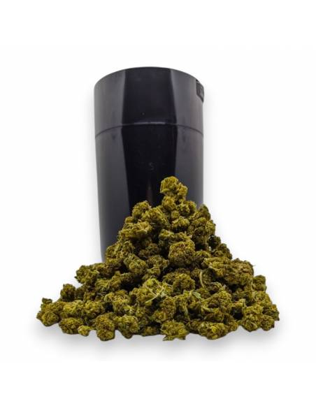 Pack 50g ThightVac Fleurs CBD Todd's Bud, Le CBD du Chef